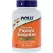Специальная добавка NOW Papaya Enzyme 180 таблеток Специальная добавка NOW Papaya Enzyme 180 таблеток