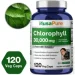   Nusapure     - Chlorophyll 120 