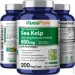   Nusapure   - Sea Kelp 200 