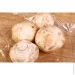    Obery   250  29     -
