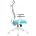   Officepro Balance OC550-W-DG-BL