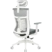   Officepro Balance OC550-W-DG-DG