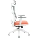   Officepro Balance OC550-W-DG-OR