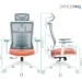   Officepro Balance OC550-W-DG-OR