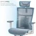 Officepro Balance OC620-W-DG-DG