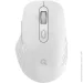  Officepro M230W