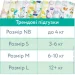 ϳ Offspring   M, 6-10 , 42  (DP-OI-FAT-M42P-WTW)