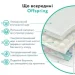 - Offspring  M, 6-11 , 42 ,  (DP-OI-FAP-M42P-ABC)