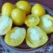 Ogorod     10 