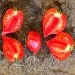 Ogorod   Crushed Heart () 10 