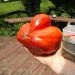 Ogorod   Goatbag () 10 