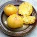 Ogorod   Lillian "s Yellow 10 