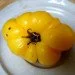 Ogorod   Lillian "s Yellow 10 