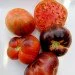 Ogorod   Lovely Lush ( ) 10 
