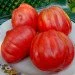 Ogorod   Red Figs ( ) 10 
