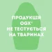 OGX      300 