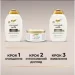 OGX      385  (0022796970053)