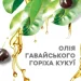 OGX          385  (0022796974211)
