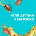 OGX ³     385  (0022796976116)