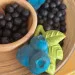    Oli&Carol -   (L-BLUEBERRY-UNIT)
