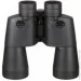 Olympus  DPS I 10x50