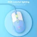  Onikuma CW916 Blue-White
