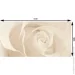 Opoczno  Effecta beige 30x60 