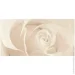 Opoczno  Effecta beige 30x60 