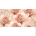 Opoczno  Royal Garden Flower 29,7x60 