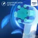   Oral-B    D103.413.2KX Lion King