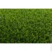 Orotex   YANDA 37 4 