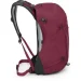Osprey  Hikelite 26 Violet (1054-009.4010)