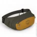     Osprey Daylite Waist Black () (009.2498)