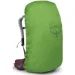 Osprey  Sirrus 36 Burgundy (1054-009.3590)