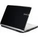  Packard Bell EasyNote F2366-CU-99RU (LX.BFJ0C.003)