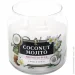 Pako-If   Coconut Mojito 350 