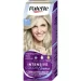 Palette -   Intensive Color Creme ( ) 10-1 (C10)   110 