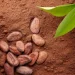 Palette    Naturals 3-1   110 