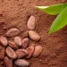 Palette    Naturals 5-0 - 110 