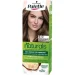 Palette    Naturals 6-0 - 110 