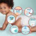  Pampers Pants Giant  6 (14-19 ) 93  (8006540491010)