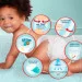  Pampers Premium Care Pants Junior  5 (12-17 ) 102  (8006540490976)