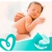   PAMPERS    Sens 80 (8001841063188)
