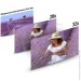   Panasonic 4K HC-X2 (HC-X2EE)