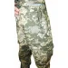 Pancer Protection      (12-14 )