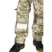 Pancer Protection      (12-14 )