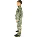 Pancer Protection      (12-14 )