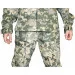 Pancer Protection      (12-14 )