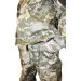 Pancer Protection      (12-14 )