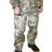 Pancer Protection      (12-14 )